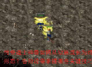 传奇道士神兽如何从幼崽成长为终极形态?各阶段需掌握哪些关键技巧? 传奇道士神兽如何从幼崽成长为终极形态?各阶段需掌握哪些关键技巧?