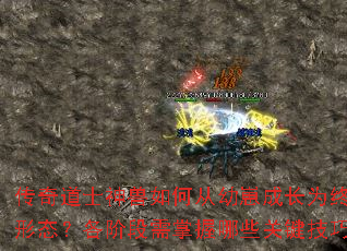 传奇道士神兽如何从幼崽成长为终极形态?各阶段需掌握哪些关键技巧? 传奇道士神兽如何从幼崽成长为终极形态?各阶段需掌握哪些关键技巧?