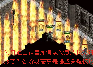 传奇道士神兽如何从幼崽成长为终极形态?各阶段需掌握哪些关键技巧? 传奇道士神兽如何从幼崽成长为终极形态?各阶段需掌握哪些关键技巧?