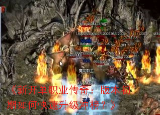 ���¿���ְҵ���棺�汾������ο���������񣿡�