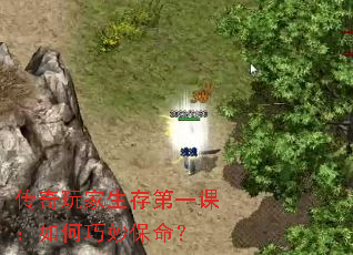传奇玩家生存第一课:如何巧妙保命? 传奇玩家生存第一课:如何巧妙保命?