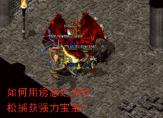 如何用诱惑之光轻松捕获强力宝宝? 如何用诱惑之光轻松捕获强力宝宝?