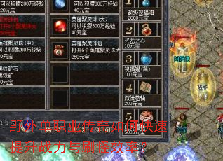 野外单职业传奇如何快速提升战力与刷怪效率? 野外单职业传奇如何快速提升战力与刷怪效率?