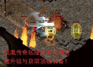 凤凰传奇私服新手如何快速升级与获取顶级装备? 凤凰传奇私服新手如何快速升级与获取顶级装备?