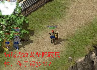 揭秘龙纹装备隐藏属性,你了解多少? 揭秘龙纹装备隐藏属性,你了解多少?
