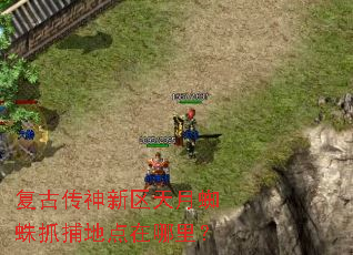 复古传神新区天月蜘蛛抓捕地点在哪里? 复古传神新区天月蜘蛛抓捕地点在哪里?