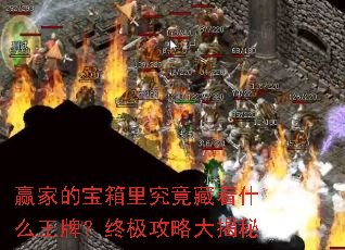 赢家的宝箱里究竟藏着什么王牌?终极攻略大揭秘 赢家的宝箱里究竟藏着什么王牌?终极攻略大揭秘