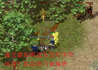 魔法盾如何成为法师保命神技?实战技巧全解析 魔法盾如何成为法师保命神技?实战技巧全解析