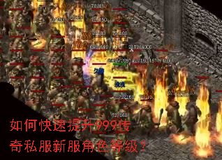 如何快速提升999传奇私服新服角色等级? 如何快速提升999传奇私服新服角色等级?