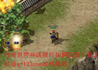 ������������Ƭ��λ�ȡ���¿�˽��sf123com���Խ��