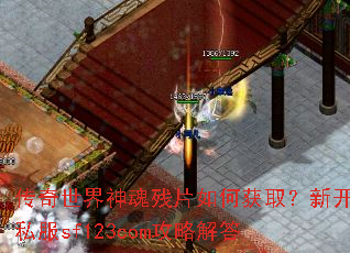 ������������Ƭ��λ�ȡ���¿�˽��sf123com���Խ��