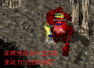 ��ο�����������ְҵս���뼼�ܴ��䣿