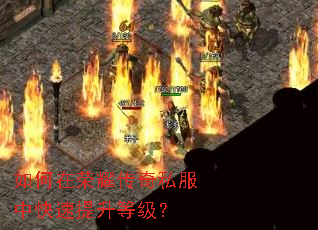 如何在荣耀传奇私服中快速提升等级? 如何在荣耀传奇私服中快速提升等级?