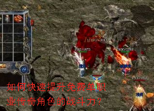 ��ο���������ѵ�ְҵ�����ɫ��ս������
