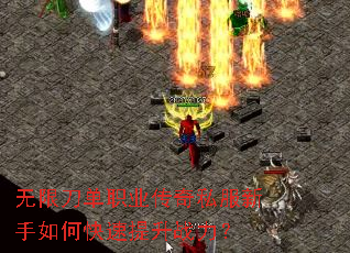 无限刀单职业传奇私服新手如何快速提升战力? 无限刀单职业传奇私服新手如何快速提升战力?