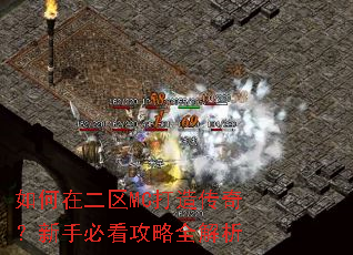 如何在二区MC打造传奇?新手必看攻略全解析 如何在二区MC打造传奇?新手必看攻略全解析