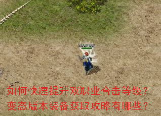 如何快速提升双职业合击等级?变态版本装备获取攻略有哪些? 如何快速提升双职业合击等级?变态版本装备获取攻略有哪些?