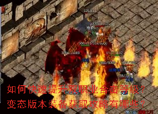 如何快速提升双职业合击等级?变态版本装备获取攻略有哪些? 如何快速提升双职业合击等级?变态版本装备获取攻略有哪些?