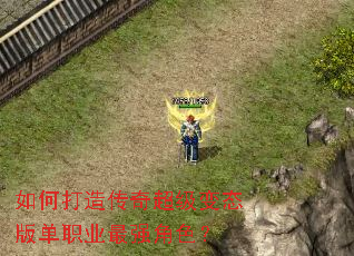 如何打造传奇超级变态版单职业最强角色? 如何打造传奇超级变态版单职业最强角色?