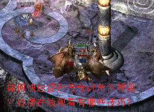 如何快速提升传奇sf角色等级?直播在线观看有哪些技巧? 如何快速提升传奇sf角色等级?直播在线观看有哪些技巧?
