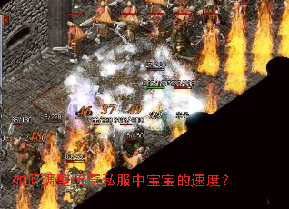 如何调整传奇私服中宝宝的速度? 如何调整传奇私服中宝宝的速度?