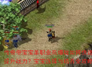 传奇带宝宝单职业高爆版如何快速提升战力?宝宝选择与培养全攻略 传奇带宝宝单职业高爆版如何快速提升战力?宝宝选择与培养全攻略