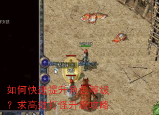如何快速提升角色等级?求高效打怪升级攻略 如何快速提升角色等级?求高效打怪升级攻略