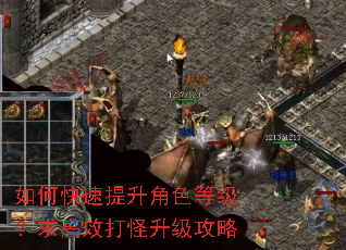 如何快速提升角色等级?求高效打怪升级攻略 如何快速提升角色等级?求高效打怪升级攻略
