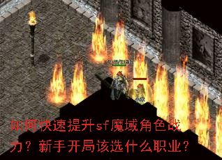 如何快速提升sf魔域角色战力?新手开局该选什么职业? 如何快速提升sf魔域角色战力?新手开局该选什么职业?