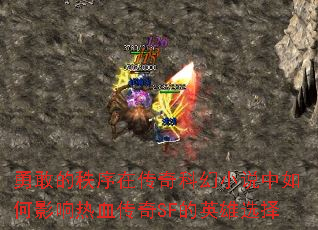 勇敢的秩序在传奇科幻小说中如何影响热血传奇SF的英雄选择 勇敢的秩序在传奇科幻小说中如何影响热血传奇SF的英雄选择