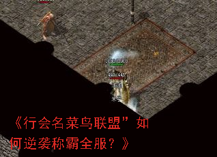 《行会名菜鸟联盟”如何逆袭称霸全服?》 《行会名菜鸟联盟”如何逆袭称霸全服?》