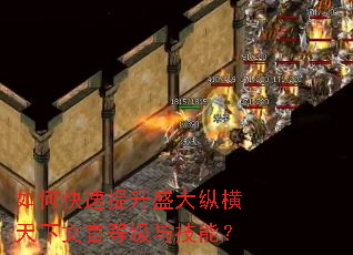 如何快速提升盛大纵横天下文官等级与技能? 如何快速提升盛大纵横天下文官等级与技能?