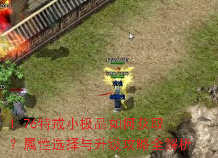 1.76特戒小极品如何获取?属性选择与升级攻略全解析 1.76特戒小极品如何获取?属性选择与升级攻略全解析