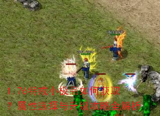 1.76�ؽ�С��Ʒ��λ�ȡ������ѡ������������ȫ����
