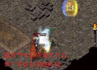 盛大传奇幻境迷宫怎么走?求详细攻略路线。 盛大传奇幻境迷宫怎么走?求详细攻略路线。