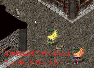 如何快速提升传奇单职业无宠物角色的战斗力? 如何快速提升传奇单职业无宠物角色的战斗力?