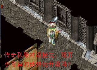 ����˽���弶�ط���˫��С������ܿ���������