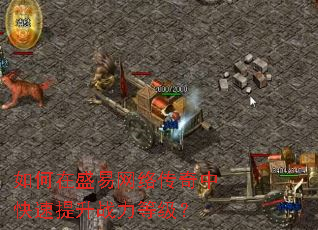 如何在盛易网络传奇中快速提升战力等级? 如何在盛易网络传奇中快速提升战力等级?