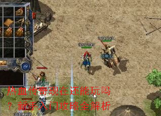 热血传奇现在还能玩吗?新手入门攻略全解析 热血传奇现在还能玩吗?新手入门攻略全解析