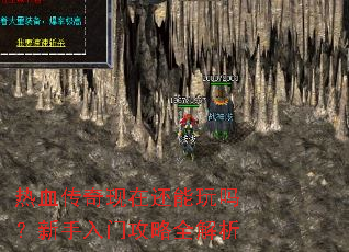 ��Ѫ�������ڻ��������������Ź���ȫ����