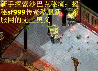 新手探索沙巴克秘境：揭秘sf999传奇私服新服网的无上奥义